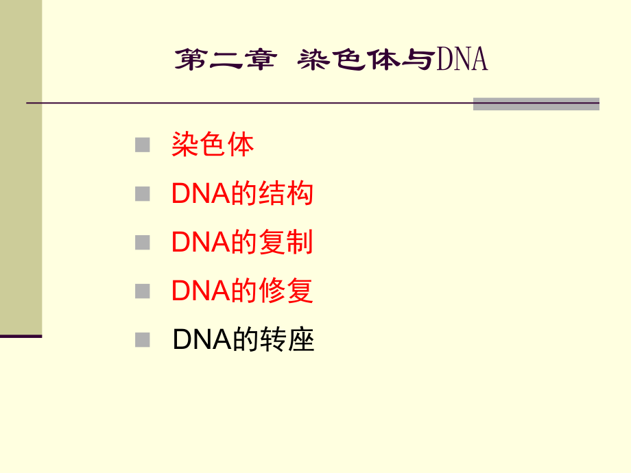 02 染色體與DNA_第1頁