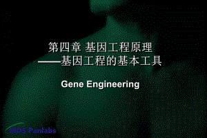第4章12B基因工程