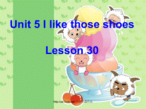 人教精通版英語四上Unit 5I like those shoesLesson 30課件