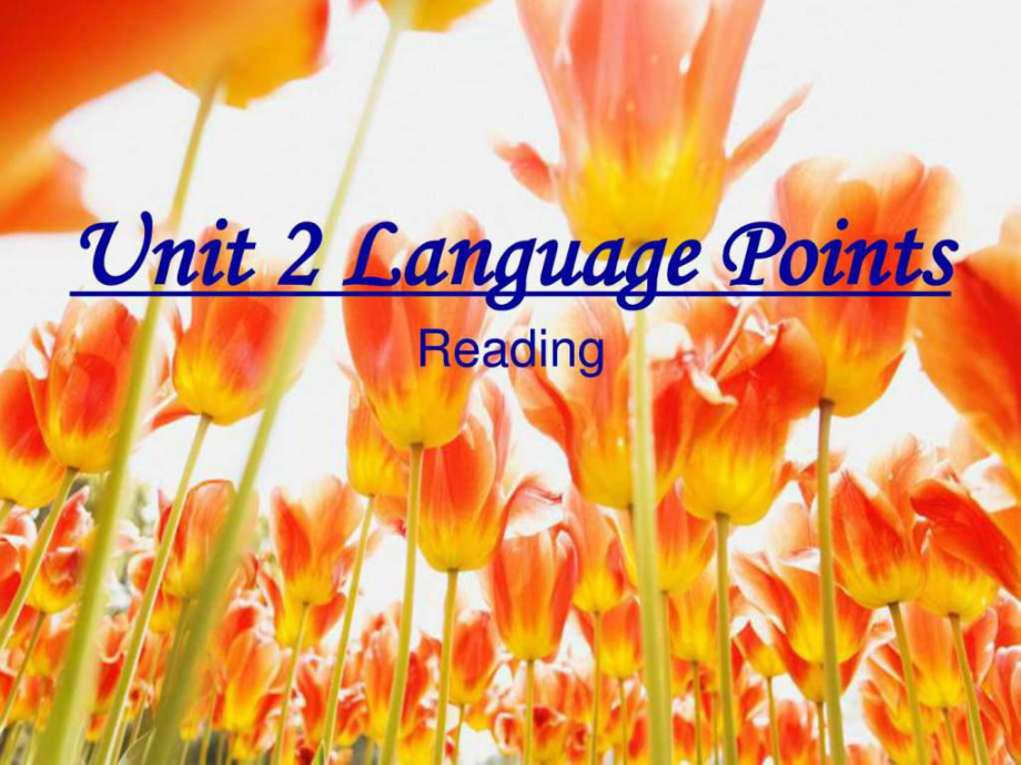 高中英語(yǔ)選修7 Unit2 RobotsLanguage points課件2(人教新課標(biāo)).ppt_第1頁(yè)