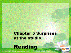 牛津深圳版英語九年Chapter 5 Surprises at the studioReading課件