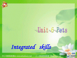 牛津譯林版英語七下Unit 6 Pets課件之三