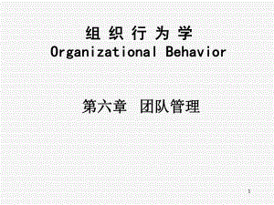 组织行为学,第六章团队管理(PPT51页)