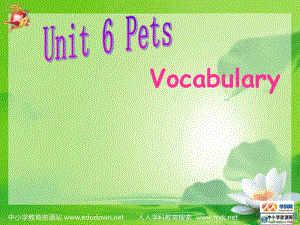 牛津譯林版英語七下Unit 6 Pets課件