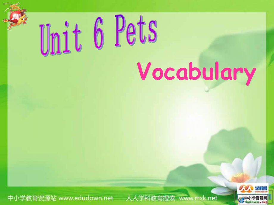 牛津譯林版英語七下Unit 6 Pets課件_第1頁