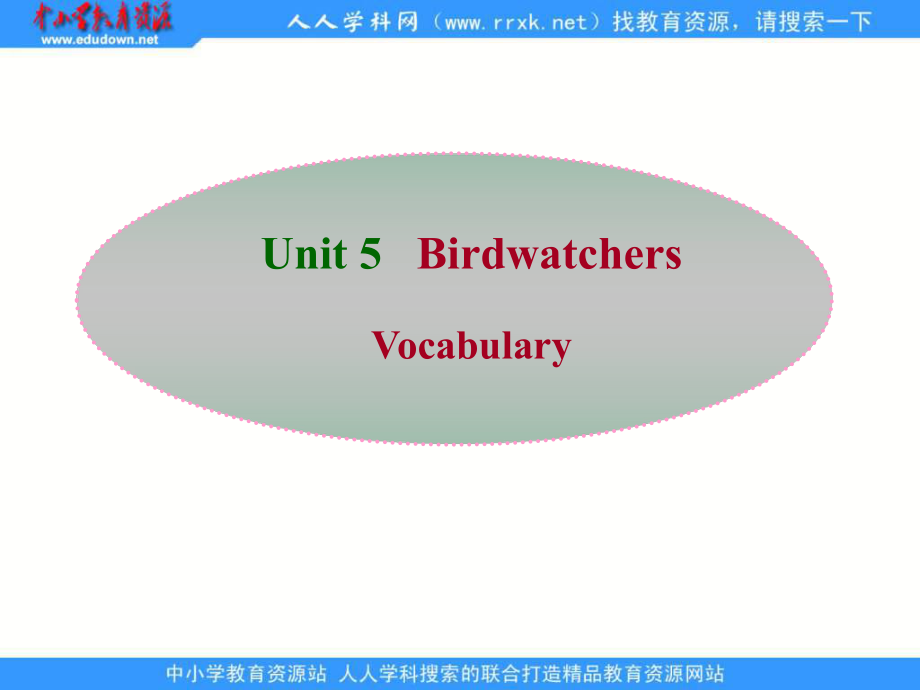 牛津譯林版八上Unit 5 Bird watchers課件_第1頁