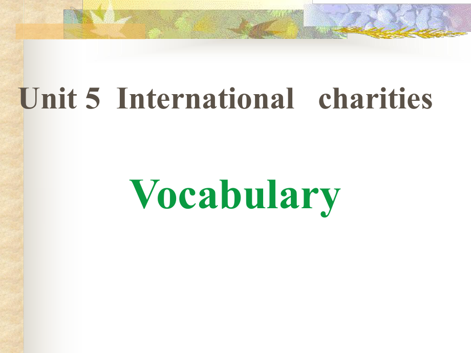 牛津譯林版英語八下Unit 5 International Charities課件_第1頁