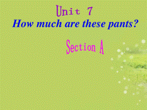 七年級英語上冊 Unit7 How much are these socks課件 人教新目標版.ppt