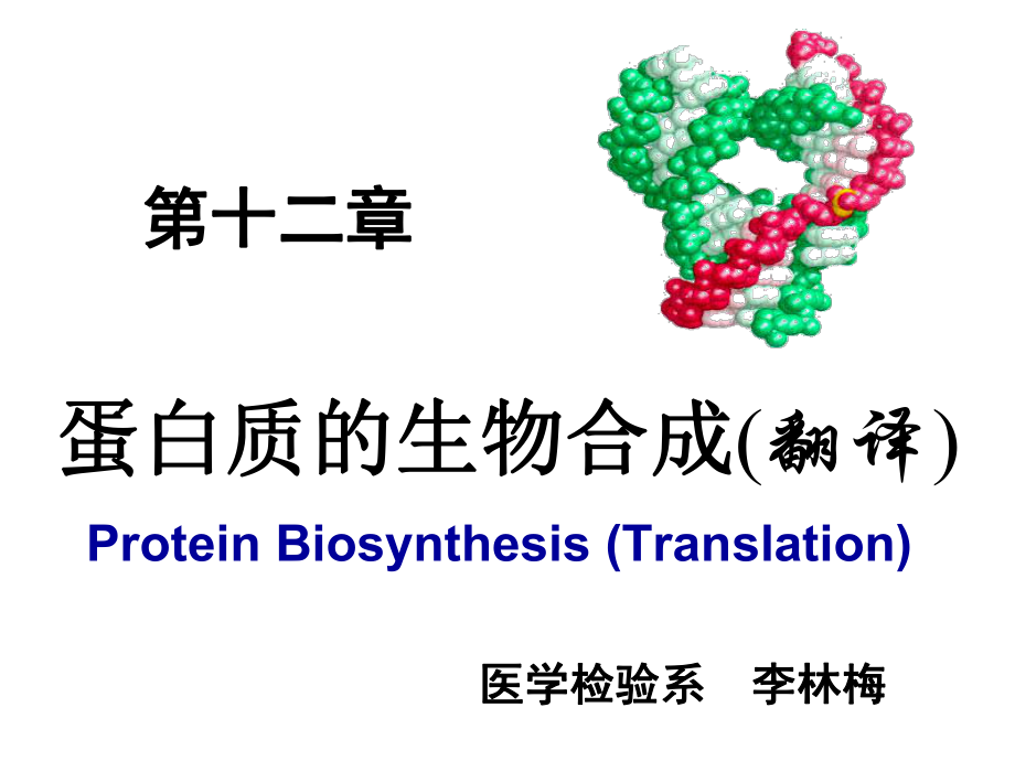 第十二章蛋白质的生物合成_第1页