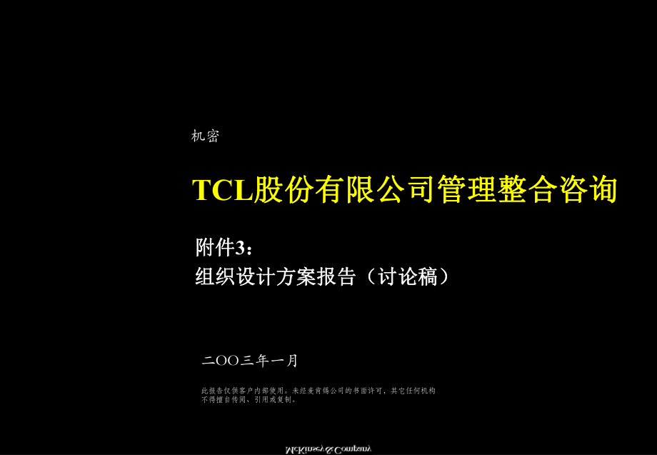 TCL管理整合组织设计方案报告_第1页