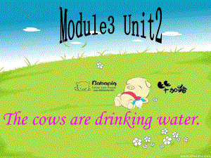 外研版三起六下Module 3 Unit 2The cows are drinking water課件5