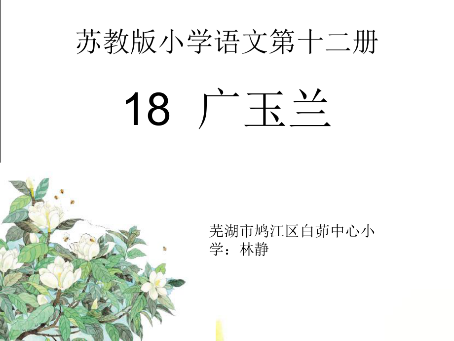 18广玉兰修改课件_第1页