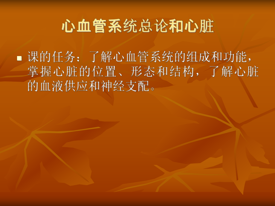 心血管系統(tǒng)解剖學.ppt_第1頁