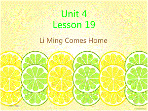 冀教版三起五下Lesson 19LiMing Comes Home課件2