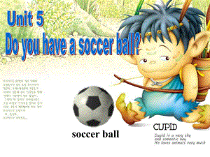 新目標(biāo)版英語七上Unit 5 Do you have a soccer ballppt課件