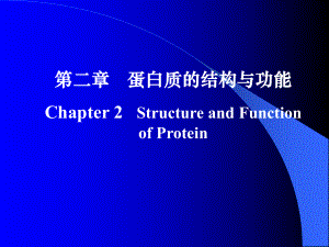 2蛋白质的结构与功能1