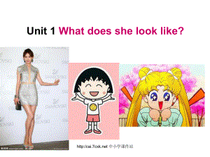 湘少版英語五年級上冊Unit 1What does she look like課件1