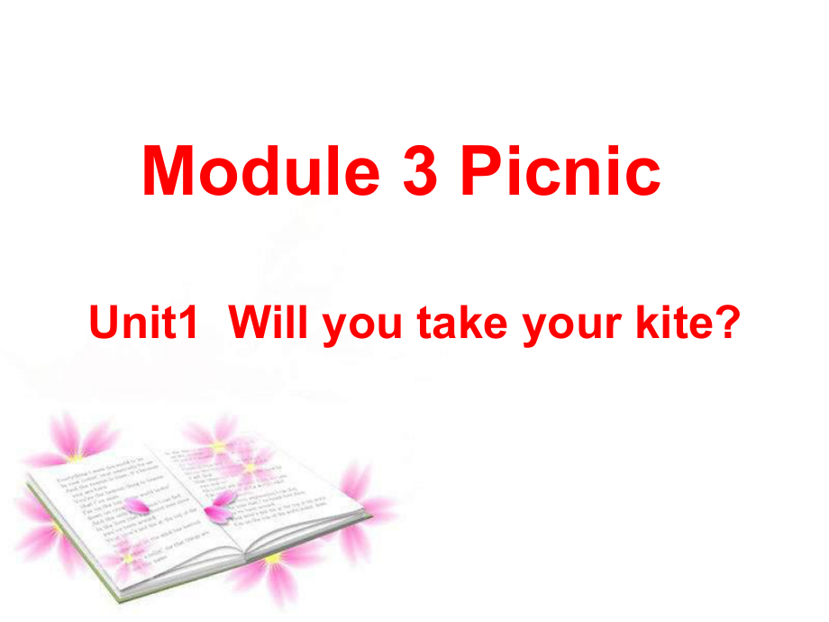 新標(biāo)準(zhǔn)英語第四冊Module3 unt1 Will you take your kitePPT課件_第1頁