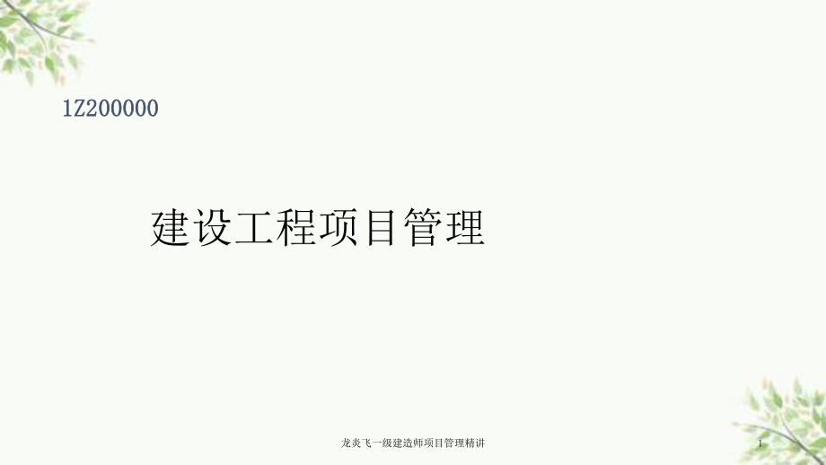 龙炎飞一级建造师项目管理精讲课件_第1页