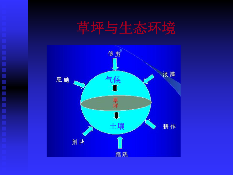 草坪与生态环境_第1页