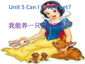 湘少版英語五年級上冊Unit 5Can I have a pet課件3