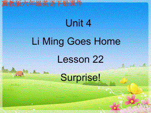 冀教版三起六下Lesson 22Surprise課件1