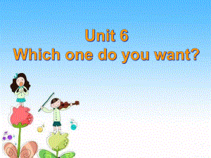 湘少版英語五年級上冊Unit 6Which one do you want課件2