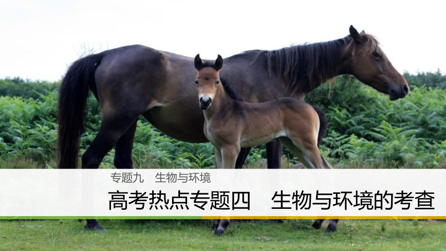 （浙江選考）高三生物二輪專題復習 專題九 生物與環(huán)境 高考熱點專題四 生物與環(huán)境的考查課件 新人教_第1頁