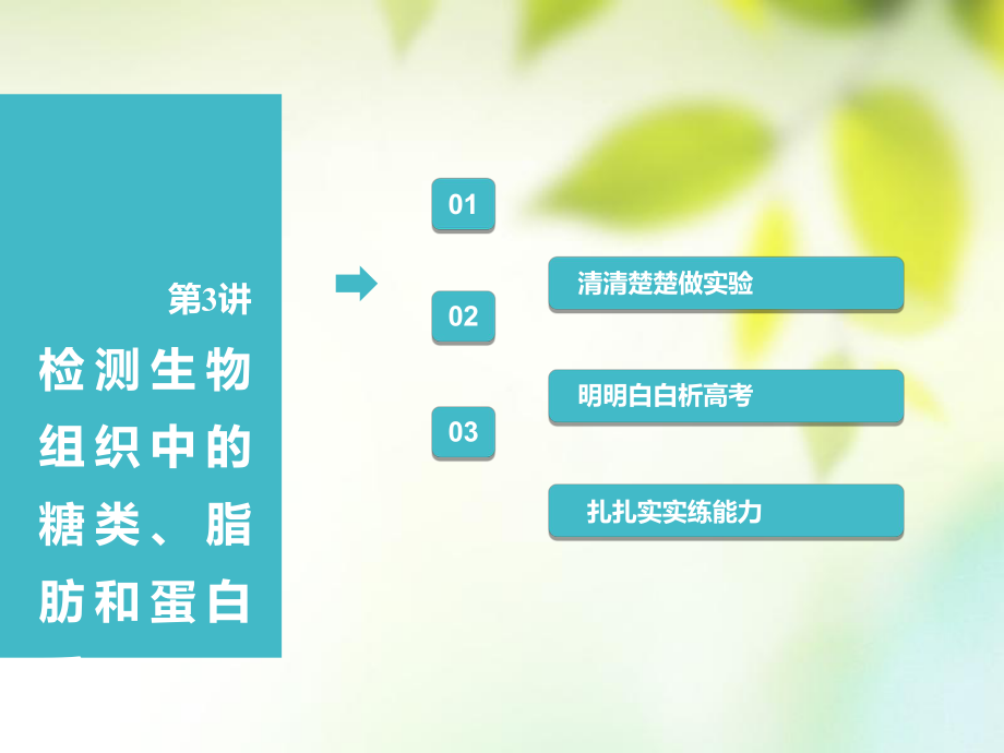 （全国通用）高考生物一轮复习 第1部分 分子与细胞 第一单元 细胞及其分子组成 第3讲 检测生物组织中的糖类、脂肪和蛋白质课件_第1页