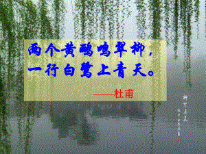 最新七年级语文上册第二单元11鸟课件上海五四制版课件
