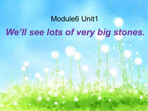 外研版一起五下Module 6 Unit 1We’ll see lots of very big stones課件1