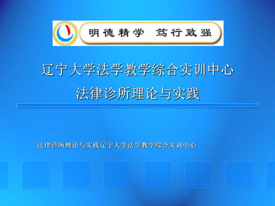 法律诊所理论与实践辽宁大学法学教学综合实训中心_第1页