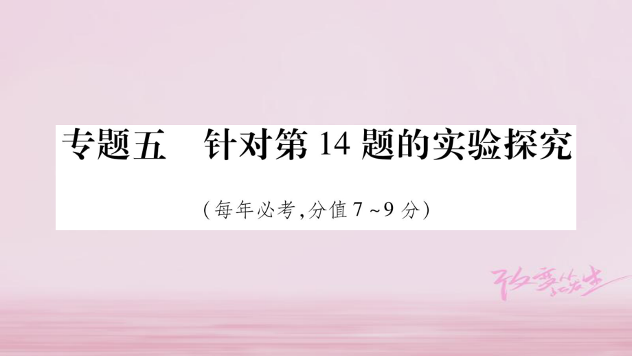 （安徽專版）中考化學(xué)總復(fù)習(xí) 第二部分 題型專題突破 專題5 實(shí)驗(yàn)探究課件_第1頁