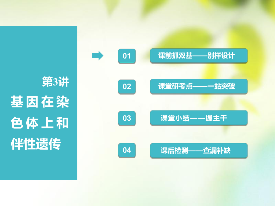 （全國(guó)通用）高考生物一輪復(fù)習(xí) 第2部分 遺傳與進(jìn)化 第一單元 遺傳的基本規(guī)律與伴性遺傳 第3講 基因在染色體上和伴性遺傳課件_第1頁(yè)