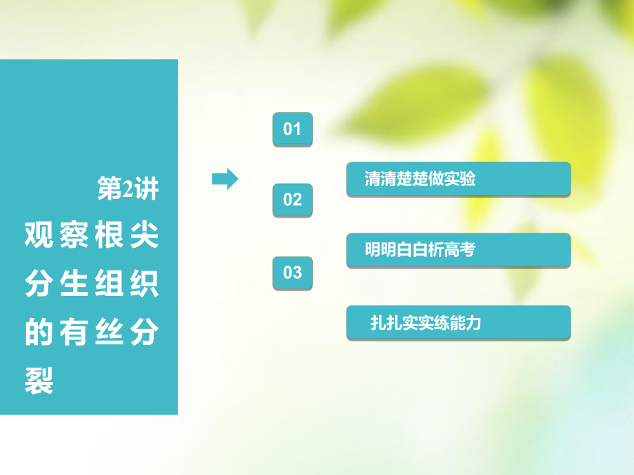 （全国通用）高考生物一轮复习 第1部分 分子与细胞 第四单元 细胞的生命历程 第2讲 观察根尖分生组织的有丝分裂课件_第1页