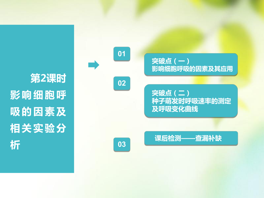 （全国通用）高考生物一轮复习 第1部分 分子与细胞 第三单元 细胞的能量供应和利用 第2讲 第2课时 影响细胞呼吸的因素及相关实验分析课件_第1页