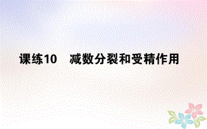 （全國通用）高考生物 全程刷題訓(xùn)練計(jì)劃 課練10 課件