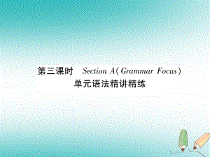 （安徽專版）九年級(jí)英語(yǔ)全冊(cè) Unit 6 When was it invented（第3課時(shí)）Section A（Grammar Focus）習(xí)題課件 （新版）人教新目標(biāo)版