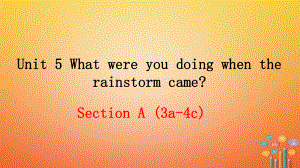 八年级英语下册 Unit 5 What were you doing when the rainstorm came（第2课时）教学课件 （新）人教新目标