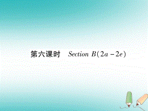 （安徽專版）九年級英語全冊 Unit 6 When was it invented（第6課時）Section B（2a-2e）習(xí)題課件 （新版）人教新目標(biāo)版