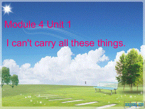 外研版一起六下Module 4 Unit 1I can’t carry all these things課件3