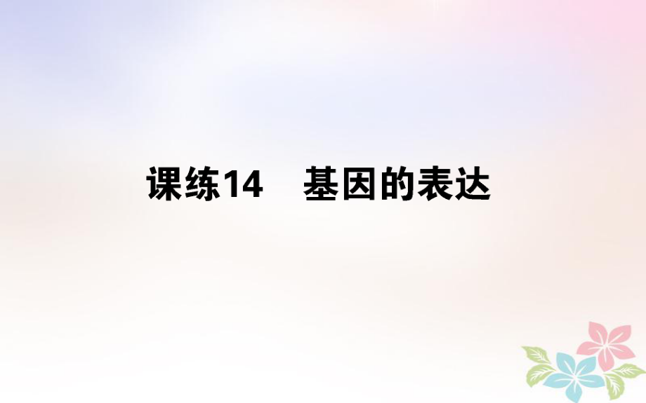 （全國通用）高考生物 全程刷題訓練計劃 課練14 課件_第1頁