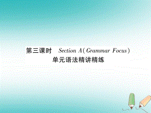 （安徽專版）九年級(jí)英語全冊(cè) Unit 8 It must belong to Carla（第3課時(shí)）Section A（Grammar Focus）習(xí)題課件 （新版）人教新目標(biāo)版