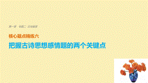 （江蘇專用）高考語文二輪復(fù)習(xí) 考前三個(gè)月 第一章 核心題點(diǎn)精練 專題二 古詩(shī)鑒賞 精練六 把握古詩(shī)思想感情題的兩個(gè)關(guān)鍵點(diǎn)課件