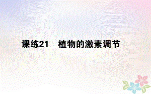 （全國(guó)通用）高考生物 全程刷題訓(xùn)練計(jì)劃 課練21 課件