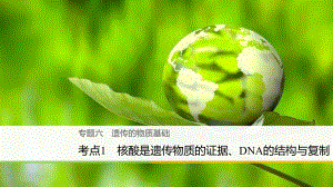 （浙江選考）高三生物二輪專題復習 專題六 遺傳的物質(zhì)基礎(chǔ) 考點1 核酸是遺傳物質(zhì)的證據(jù)、DNA的結(jié)構(gòu)與復制課件 新人教