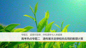 （浙江選考）高三生物二輪專題復(fù)習(xí) 專題五 孟德爾定律、伴性遺傳與人類健康 高考熱點(diǎn)專題二 遺傳基本定律相關(guān)應(yīng)用的推理計算課件 新人教