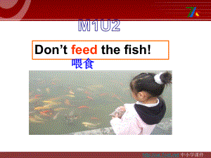 外研版一起四下Module 1 Unit 2Don’t feed the fish課件2