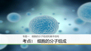 （浙江選考）高三生物二輪專題復(fù)習(xí) 專題一 細(xì)胞的分子組成和基本結(jié)構(gòu) 考點(diǎn)1 細(xì)胞的分子組成課件 新人教