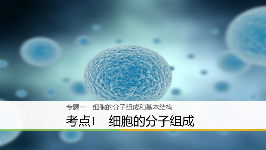 （浙江選考）高三生物二輪專題復(fù)習(xí) 專題一 細(xì)胞的分子組成和基本結(jié)構(gòu) 考點1 細(xì)胞的分子組成課件 新人教_第1頁